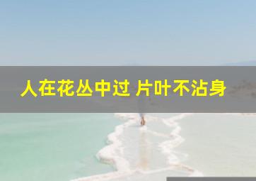 人在花丛中过 片叶不沾身